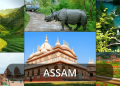 A Journey through Assam's Natural Splendors