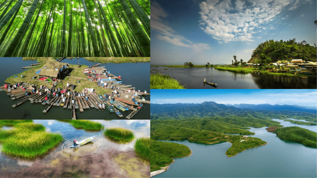 Environmental Conservation Efforts Manipur