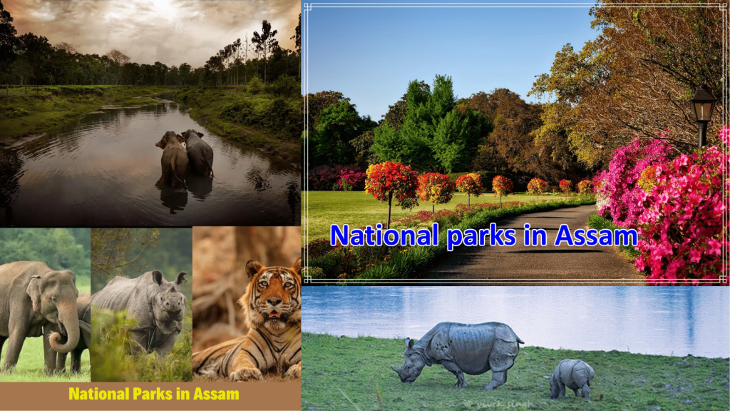 Majestic National Parks min