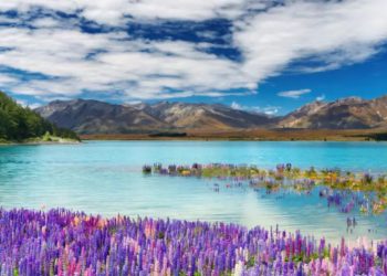 Kiwi Adventure Opening New Zealand to Reveal Its Innate Splendor