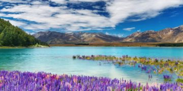 Kiwi Adventure Opening New Zealand to Reveal Its Innate Splendor